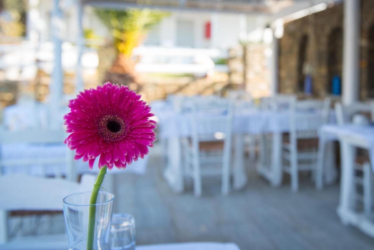 Villa Irini Platis Gialos  Exterior foto